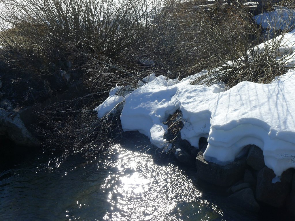 Lassen 144